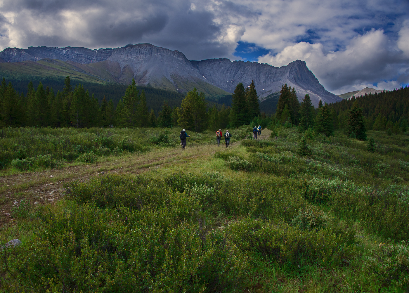 Willmore Wilderness Park, Rocky Mountains, Alberta, Canada